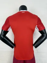 Switzerland 2026 Home player version