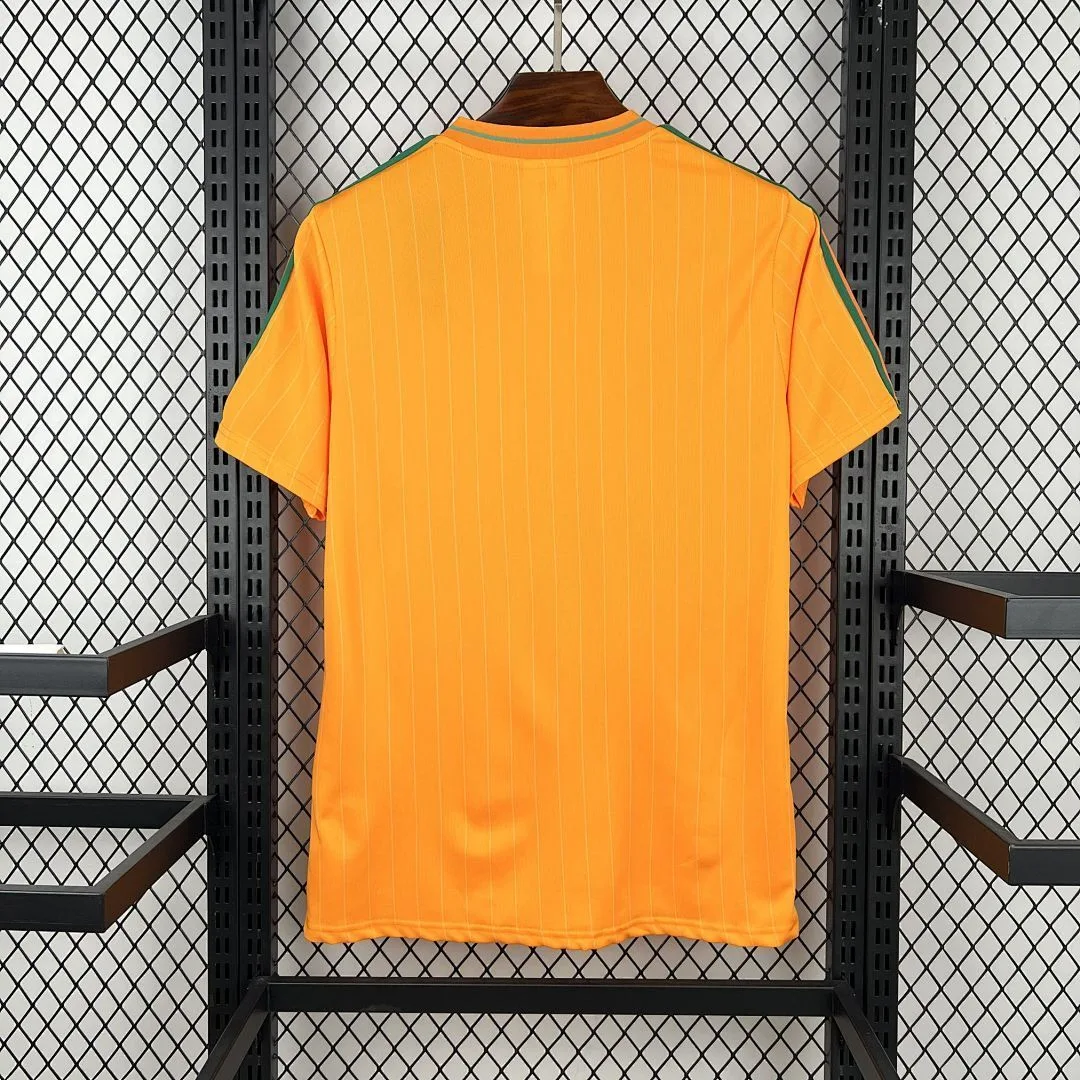 Cameroon 2026 Terrace Icons Jersey