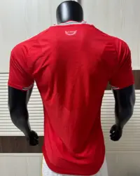 Wales 2026 World Cup Home Player Version soccer jersey