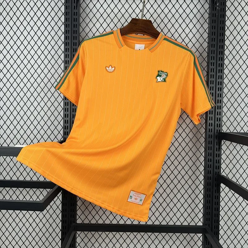 Cameroon 2026 Terrace Icons Jersey