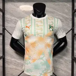 Cote d Ivoire 2026 World Cup Away Player Version Jersey