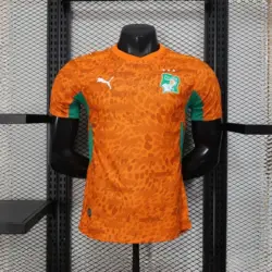 Cote d Ivoire 2026 World Cup home Player Version jersey
