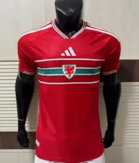 Wales 2026 World Cup Home Player Version soccer jersey