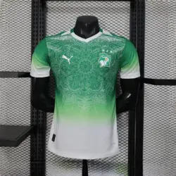Cote d Ivoire 2026 World Cup Special Edition Green Jersey Player Version