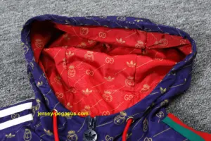 Paris & LV windbreaker jacket and pants