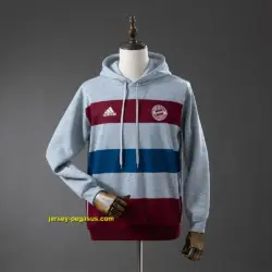 Bayern Munich Hooded Sweatshirt - Grey