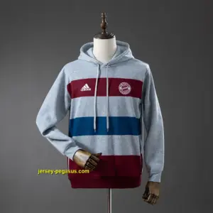 Bayern Munich Hooded Sweatshirt - Grey