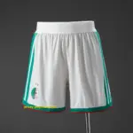 Algeria 2026 Home Player Version Shorts