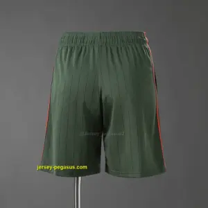 Bayern Munich Terrace Icons Shorts Green