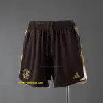 Flamengo Training Shorts - Brown