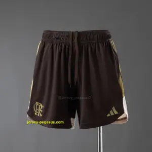 Flamengo Training Shorts - Brown