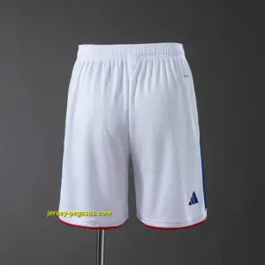 Japan 2026 Home Shorts