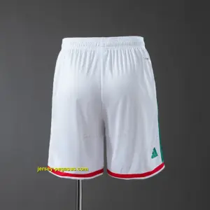 Mexico 2026 Home Shorts