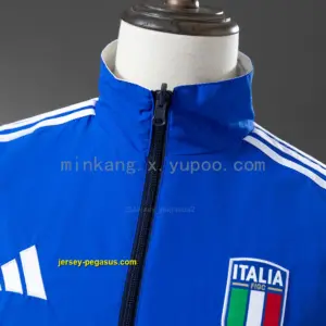 2025 Italian Trench Coat Reversible