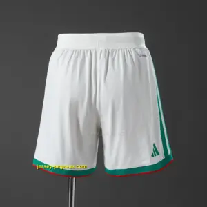 Algeria 2026 Home Player Version Shorts
