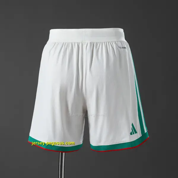 Algeria 2026 Home Player Version Shorts