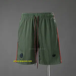Bayern Munich Terrace Icons Shorts Green