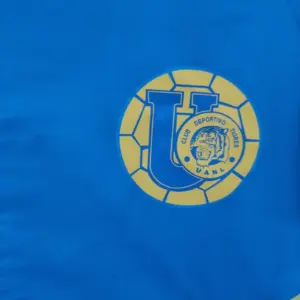 Tigers windbreaker jacket