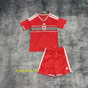 Kids 2026 Wales Home Jersey,