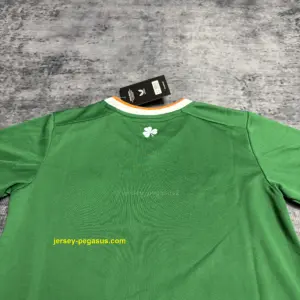 Kids 2026 Ireland Home Jersey,