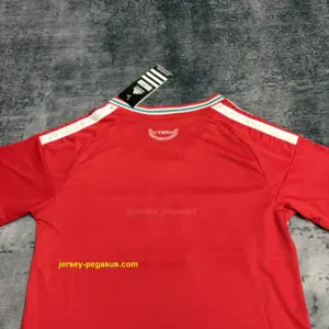 Kids 2026 Wales Home Jersey,