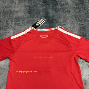 Kids 2026 Wales Home Jersey,