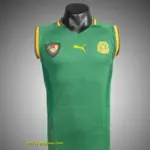 Retro 2002 Cameroon Home Soccer Jersey
