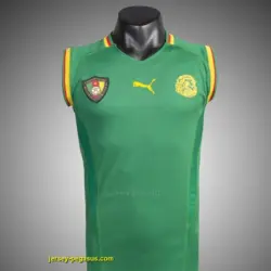 Retro 2002 Cameroon Home Soccer Jersey