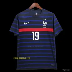 Retro 2020 France Benzema Jersey
