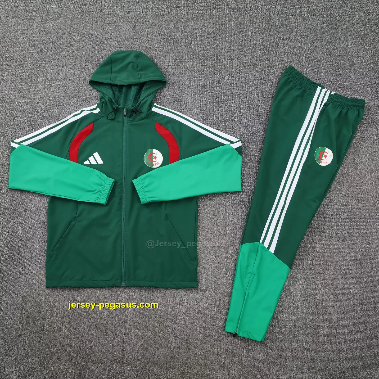 Algeria 2026 green windbreaker jacket+pants Algeria 2026 green windbreaker jacket+pants