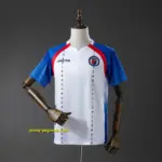 Haiti 2026 Away Jersey