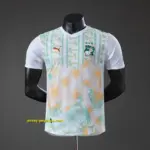 Ivory Coast 2026 Away Player Version Jersey