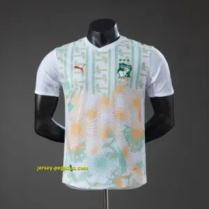 Ivory Coast 2026 Away Player Version Jersey