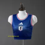 Japan 2026 Home Vest