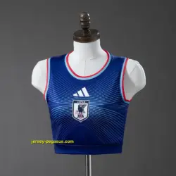Japan 2026 Home Vest
