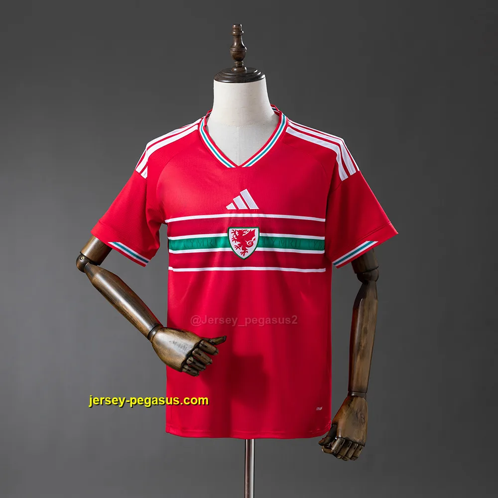 Wales 2026 Home Jersey Wales 2026 Home Jersey