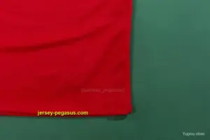 Retro 1996 Czech Republic Home Soccer Jersey