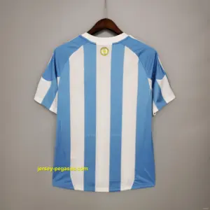 Retro 2010 Argentina home Soccer Jersey