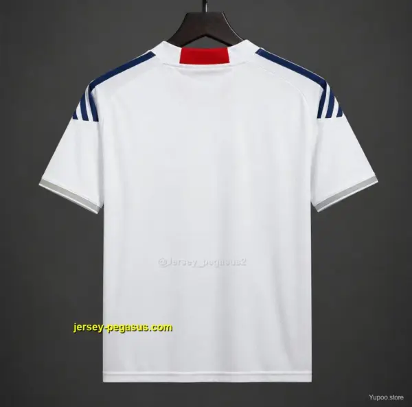 Retro 2010 Japan Away Jersey