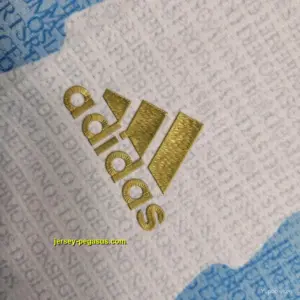 Retro 2021 Argentina x Maradona Tribute Home Jersey