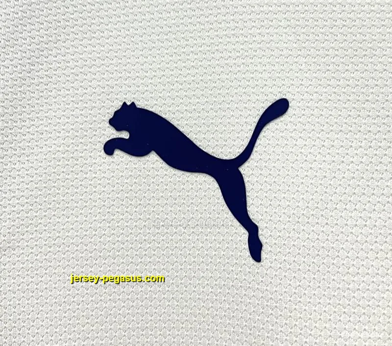 Retro Tottenham Hotspur Home Soccer Jersey Retro Tottenham Hotspur Home Soccer Jersey