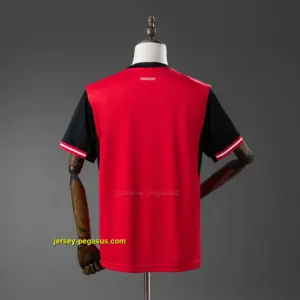 Austria 2026 Home Jersey
