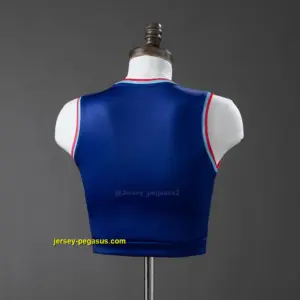 Japan 2026 Home Vest