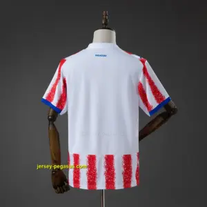 Paraguay 2026 Home Jersey