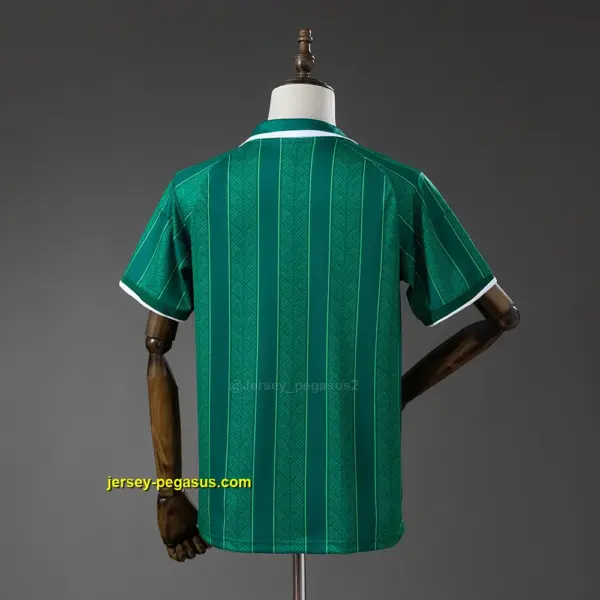 South Africa 2026 Away Jersey