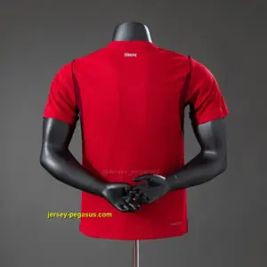 Turkiye 2026 Home Player Version Jersey