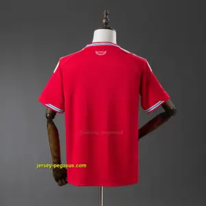 Wales 2026 Home Jersey