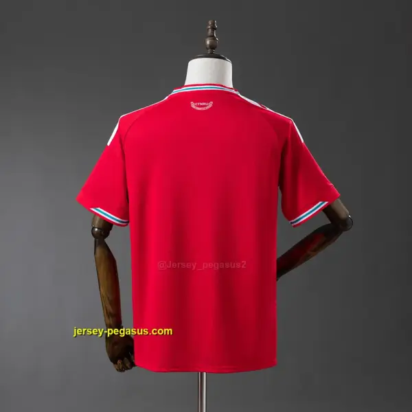 Wales 2026 Home Jersey