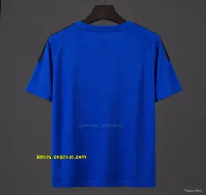 Inter Milan Royal Blue & Navy Training Jersey