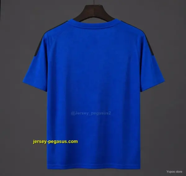 Inter Milan Royal Blue & Navy Training Jersey